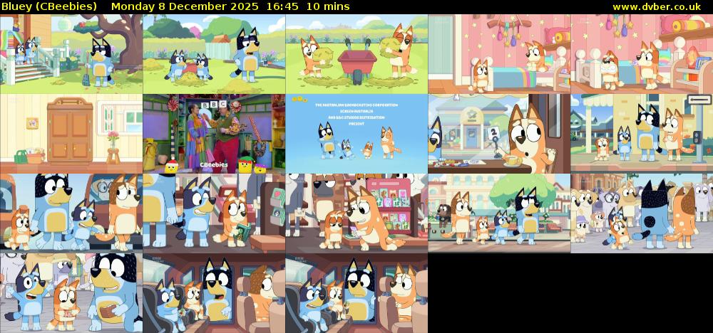 Bluey (CBeebies) Monday 8 December 2025 16:45 - 16:55