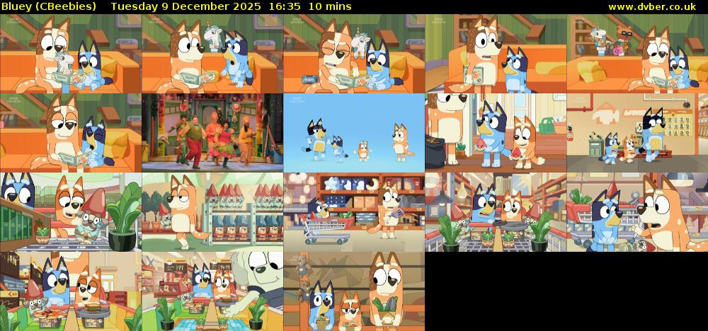 Bluey (CBeebies) Tuesday 9 December 2025 16:35 - 16:45