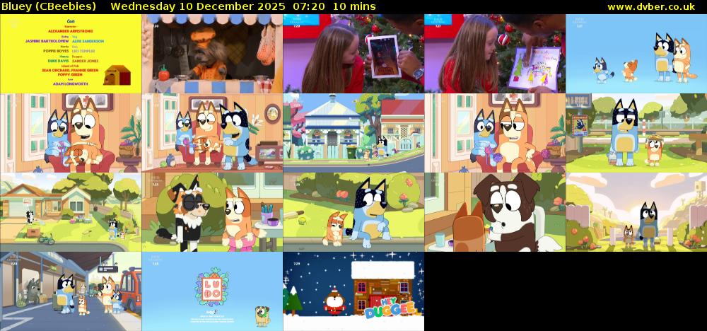 Bluey (CBeebies) Wednesday 10 December 2025 07:20 - 07:30