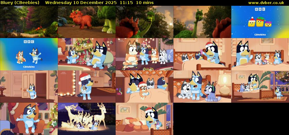 Bluey (CBeebies) Wednesday 10 December 2025 11:15 - 11:25