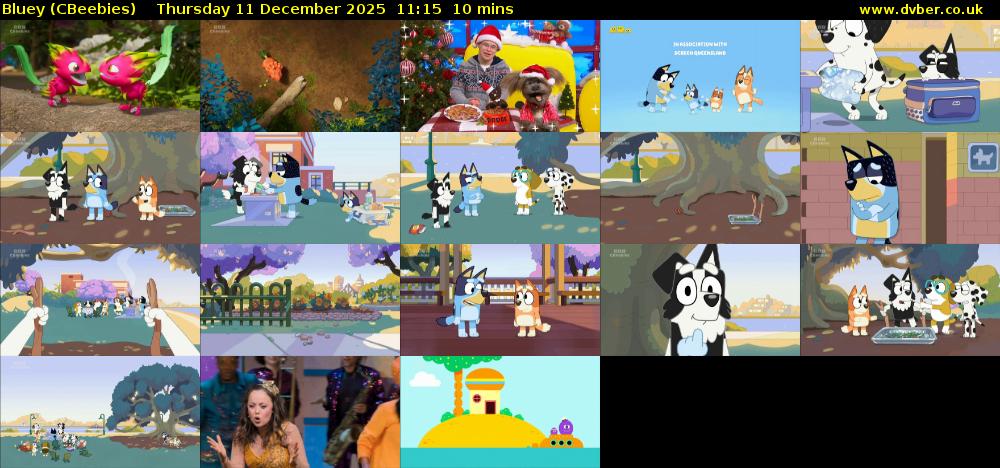 Bluey (CBeebies) Thursday 11 December 2025 11:15 - 11:25
