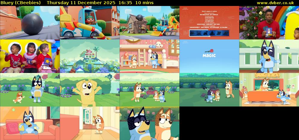 Bluey (CBeebies) Thursday 11 December 2025 16:35 - 16:45