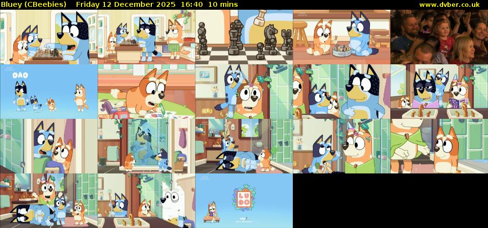 Bluey (CBeebies) Friday 12 December 2025 16:40 - 16:50