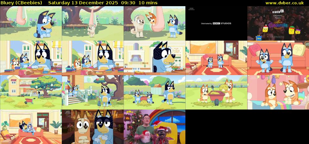 Bluey (CBeebies) Saturday 13 December 2025 09:30 - 09:40