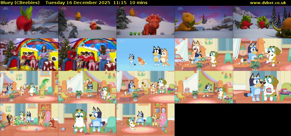 Bluey (CBeebies) Tuesday 16 December 2025 11:15 - 11:25