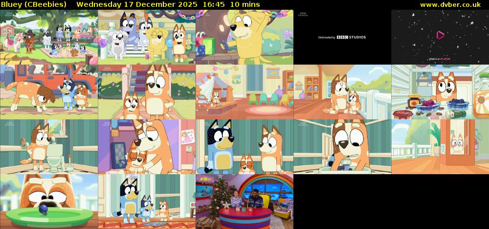 Bluey (CBeebies) Wednesday 17 December 2025 16:45 - 16:55