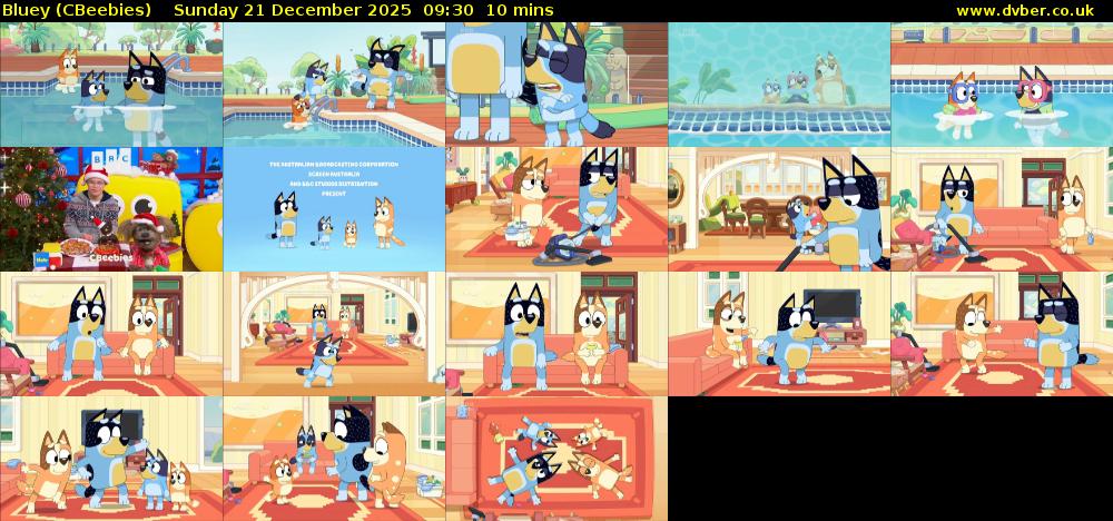 Bluey (CBeebies) Sunday 21 December 2025 09:30 - 09:40