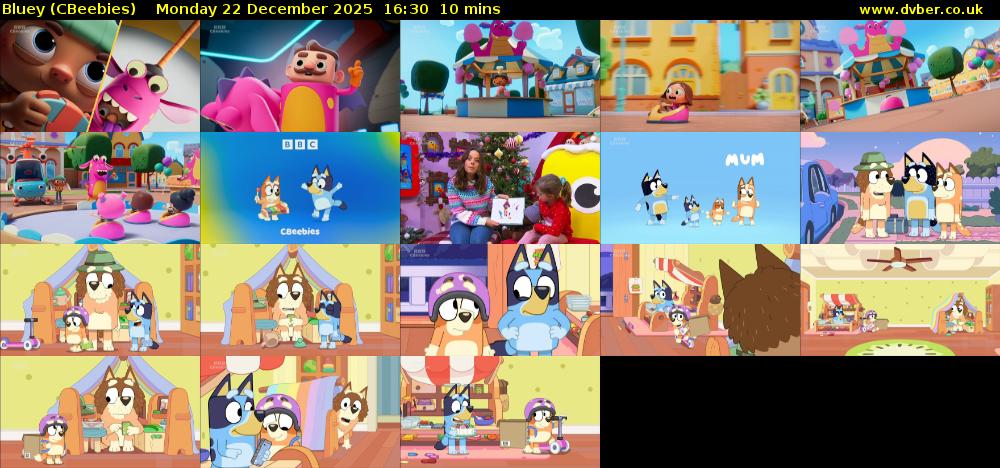 Bluey (CBeebies) Monday 22 December 2025 16:30 - 16:40