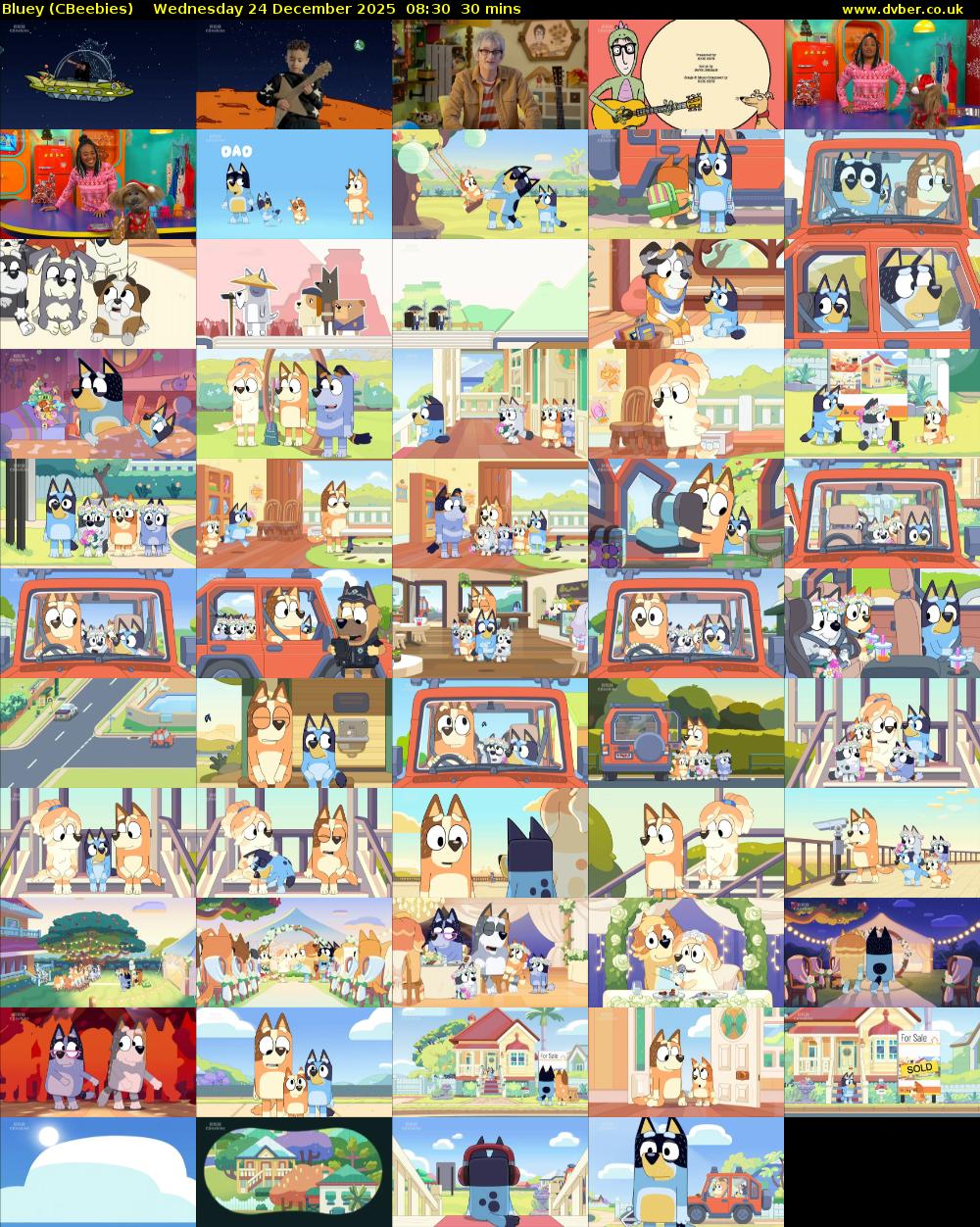 Bluey (CBeebies) Wednesday 24 December 2025 08:30 - 09:00
