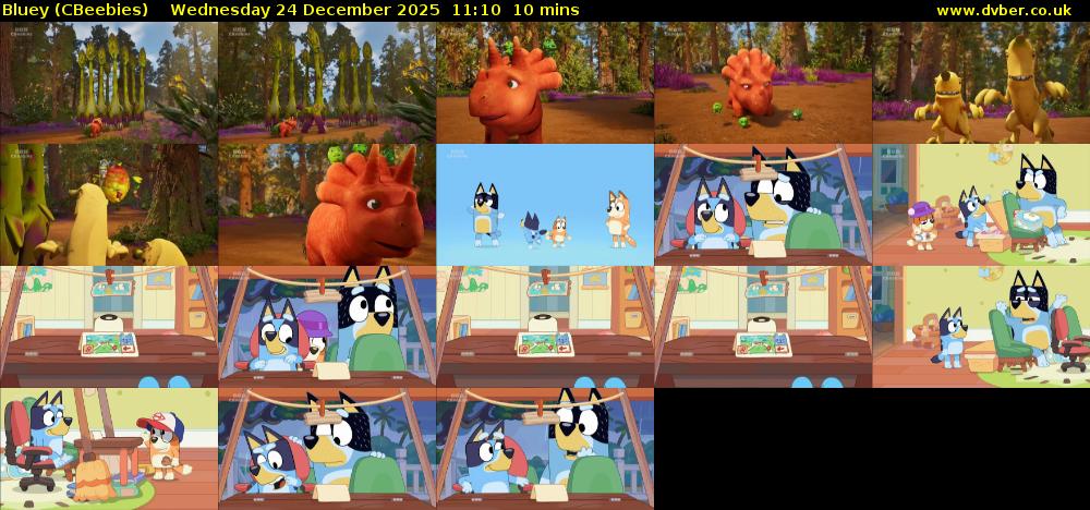 Bluey (CBeebies) Wednesday 24 December 2025 11:10 - 11:20
