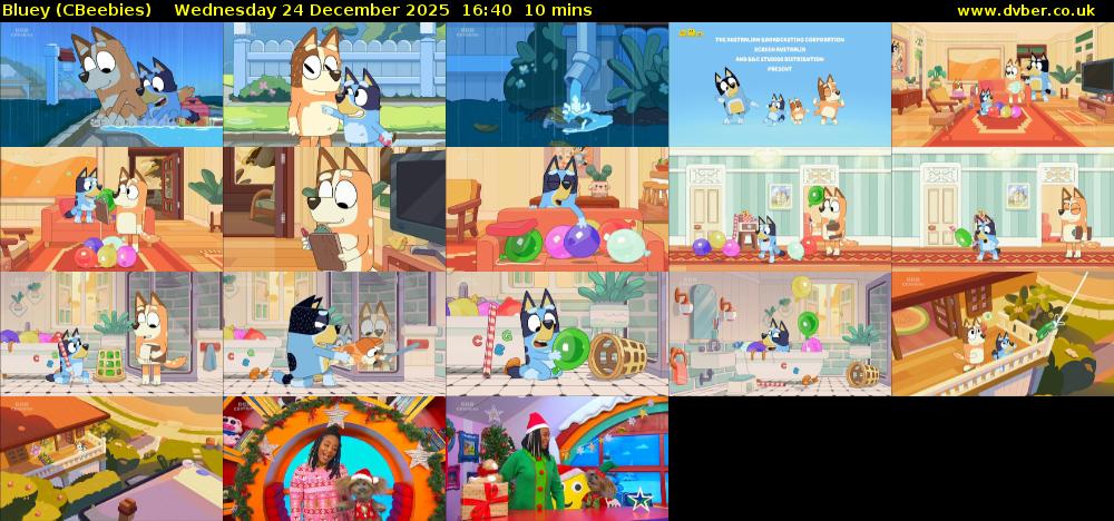 Bluey (CBeebies) Wednesday 24 December 2025 16:40 - 16:50