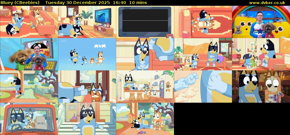 Bluey (CBeebies) Tuesday 30 December 2025 16:40 - 16:50