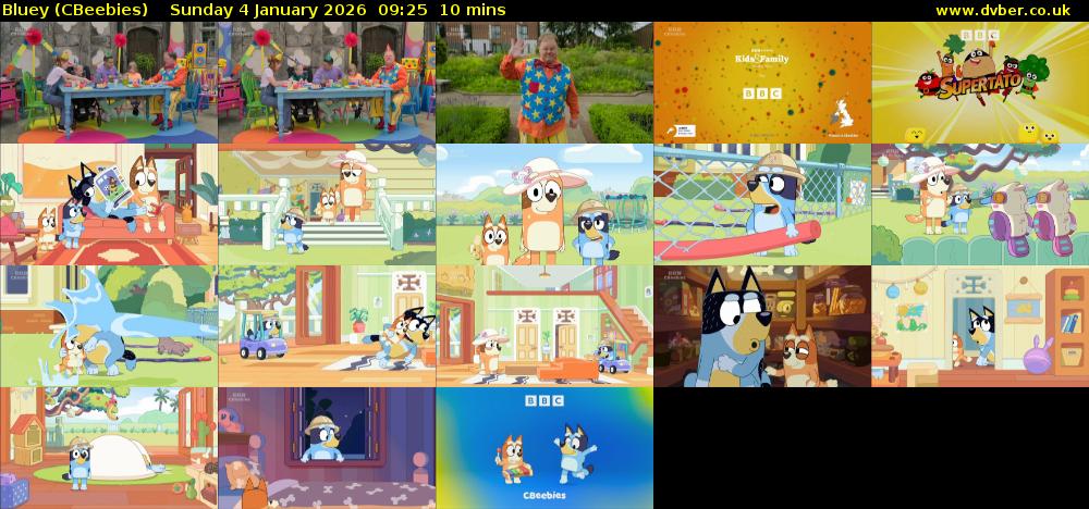 Bluey (CBeebies) Sunday 4 January 2026 09:25 - 09:35