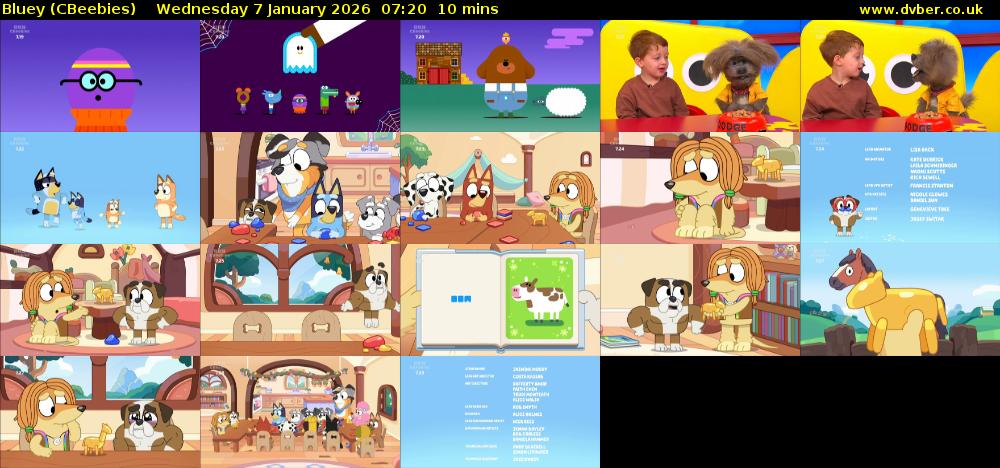 Bluey (CBeebies) Wednesday 7 January 2026 07:20 - 07:30