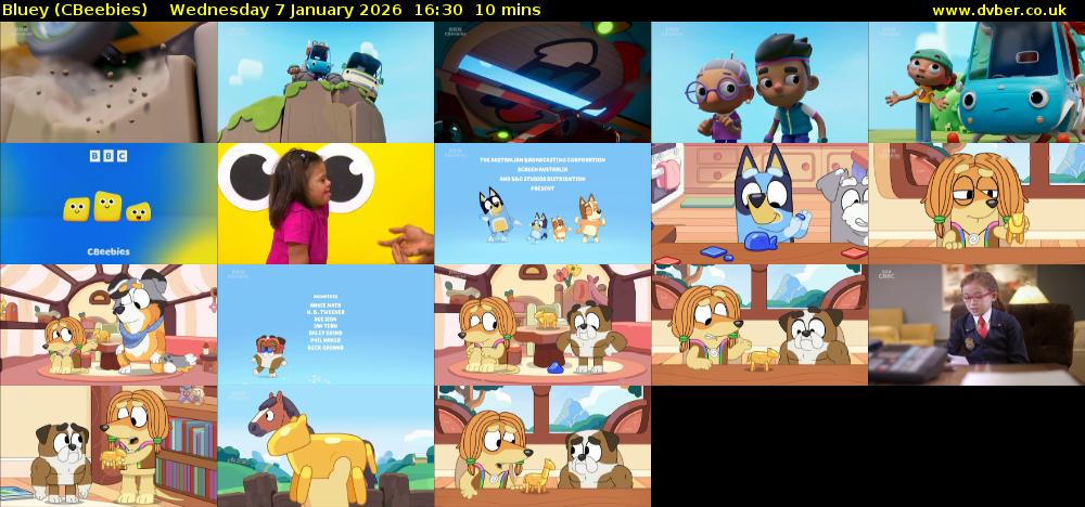Bluey (CBeebies) Wednesday 7 January 2026 16:30 - 16:40