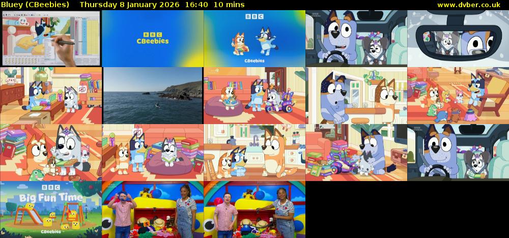 Bluey (CBeebies) Thursday 8 January 2026 16:40 - 16:50