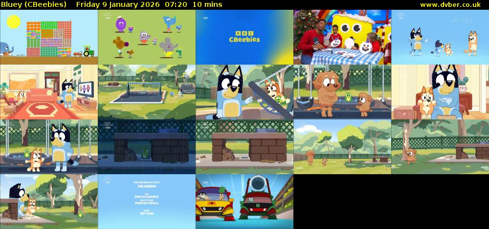 Bluey (CBeebies) Friday 9 January 2026 07:20 - 07:30