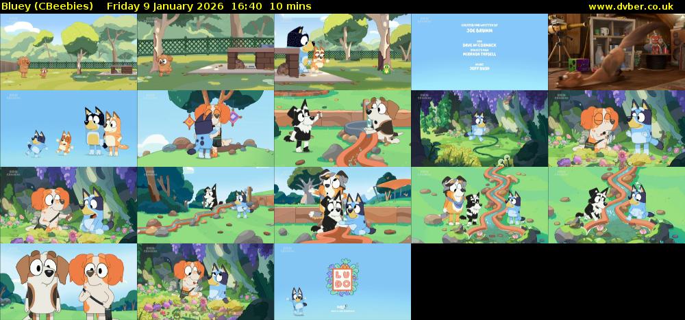 Bluey (CBeebies) Friday 9 January 2026 16:40 - 16:50