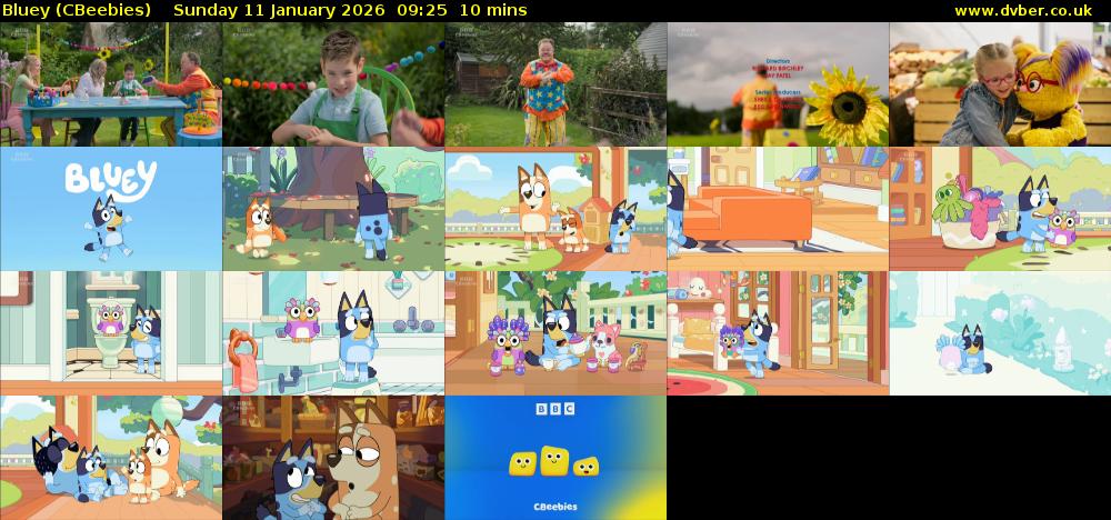 Bluey (CBeebies) Sunday 11 January 2026 09:25 - 09:35