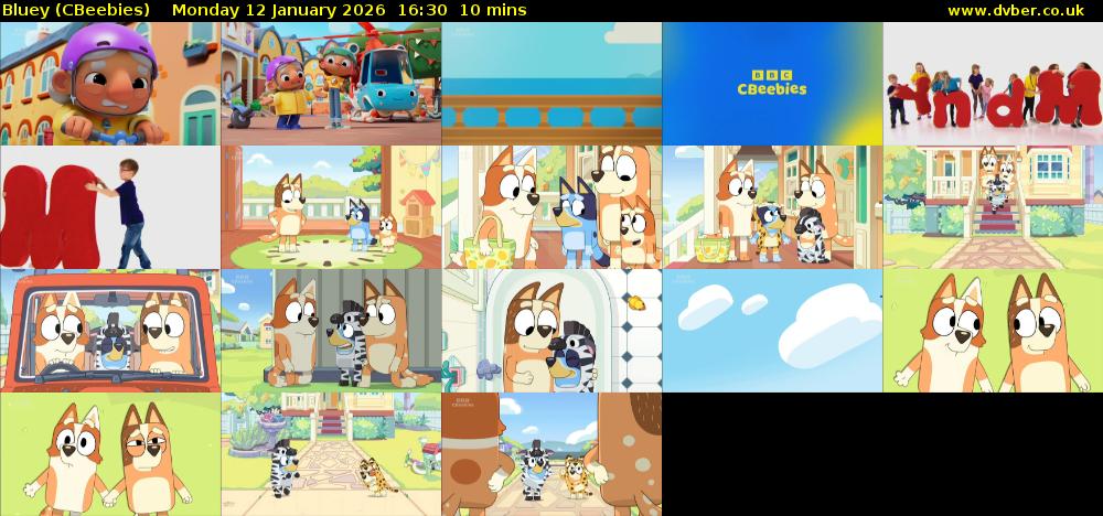 Bluey (CBeebies) Monday 12 January 2026 16:30 - 16:40