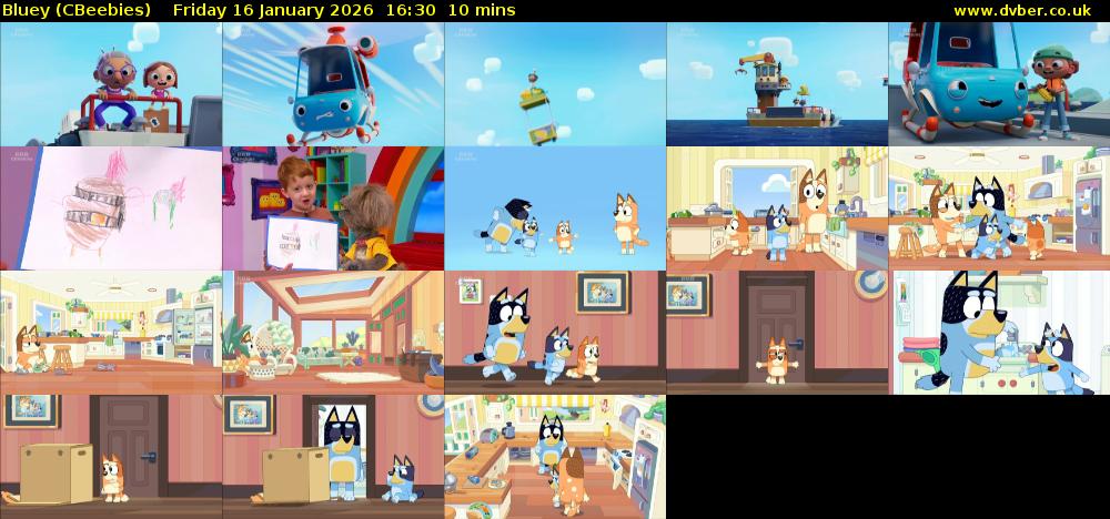 Bluey (CBeebies) Friday 16 January 2026 16:30 - 16:40