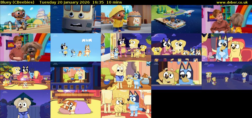 Bluey CBeebies 2026 01 20 1635 bluey-cbeebies-2026-01-20-1635