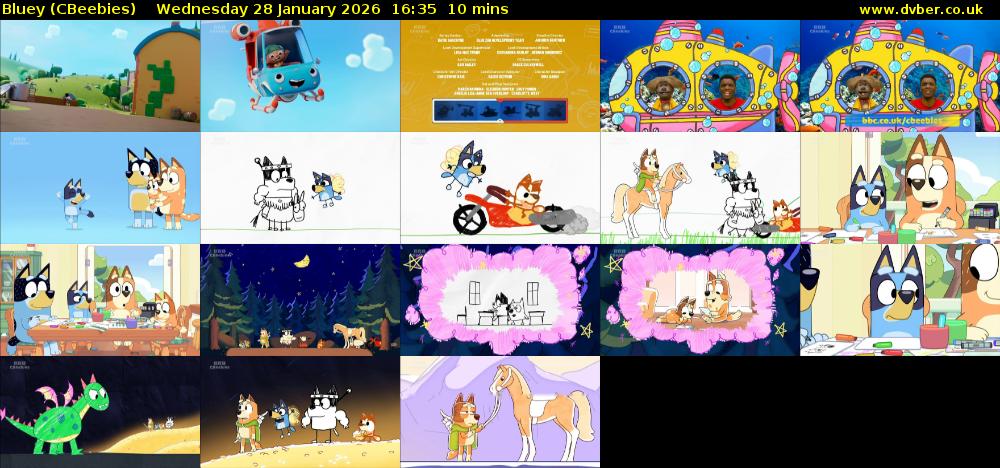 Bluey (CBeebies) Wednesday 28 January 2026 16:35 - 16:45