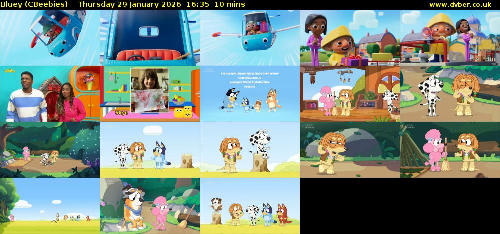 Bluey (CBeebies) Thursday 29 January 2026 16:35 - 16:45