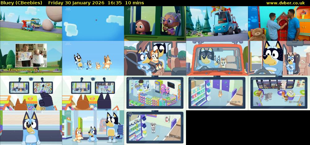 Bluey (CBeebies) Friday 30 January 2026 16:35 - 16:45