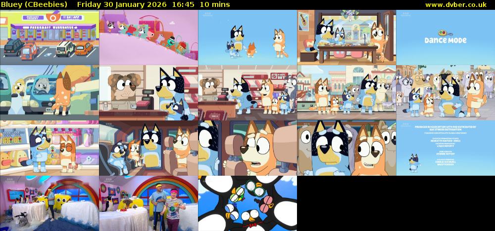 Bluey (CBeebies) Friday 30 January 2026 16:45 - 16:55