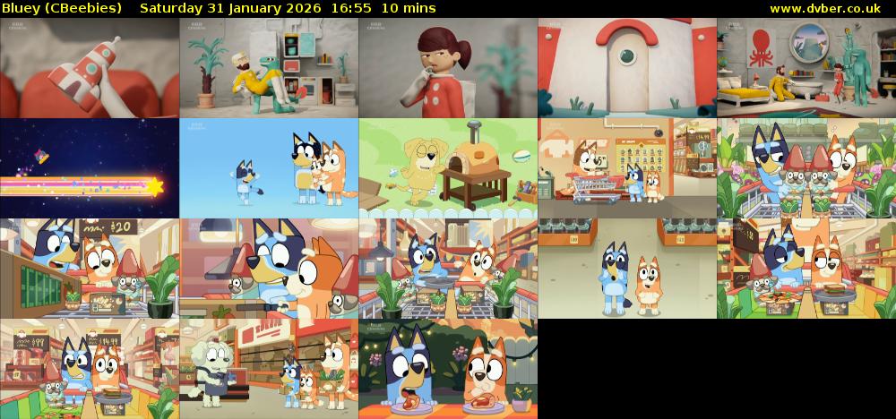 Bluey (CBeebies) Saturday 31 January 2026 16:55 - 17:05