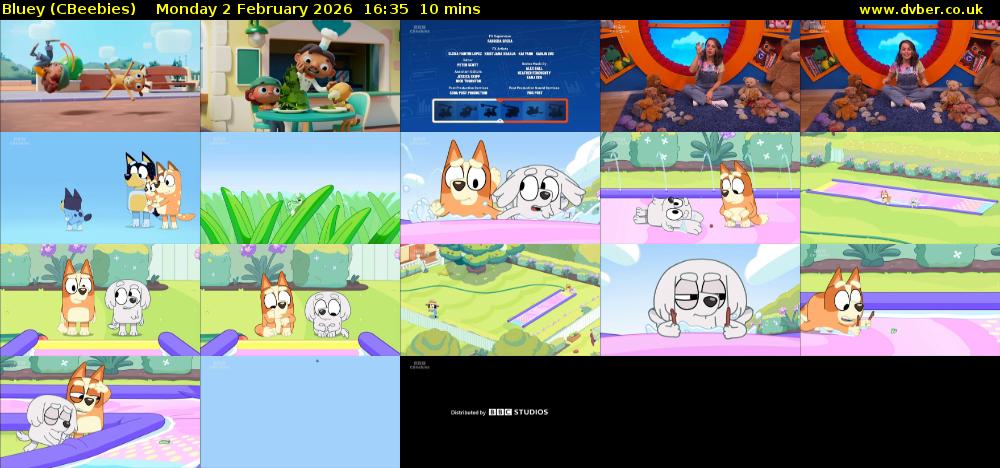 Bluey (CBeebies) Monday 2 February 2026 16:35 - 16:45