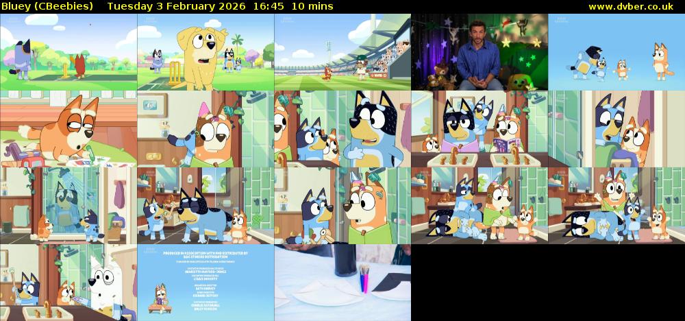 Bluey (CBeebies) Tuesday 3 February 2026 16:45 - 16:55