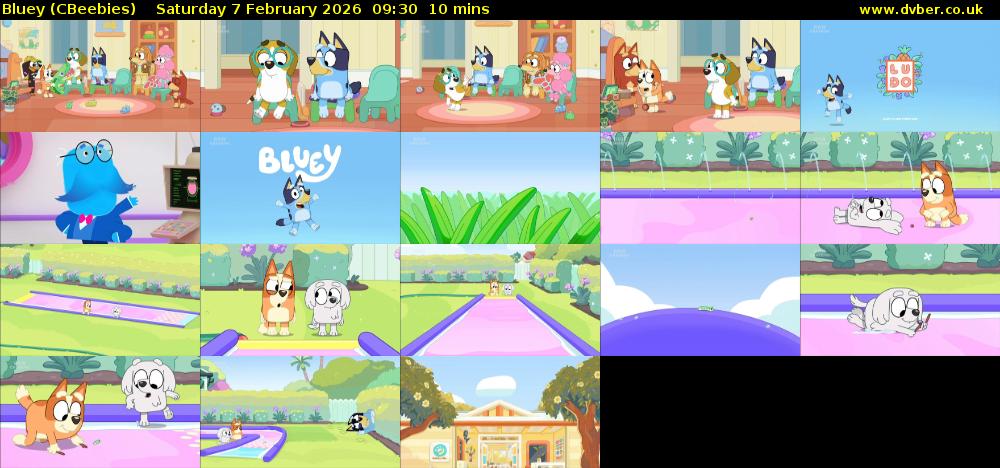 Bluey (CBeebies) Saturday 7 February 2026 09:30 - 09:40