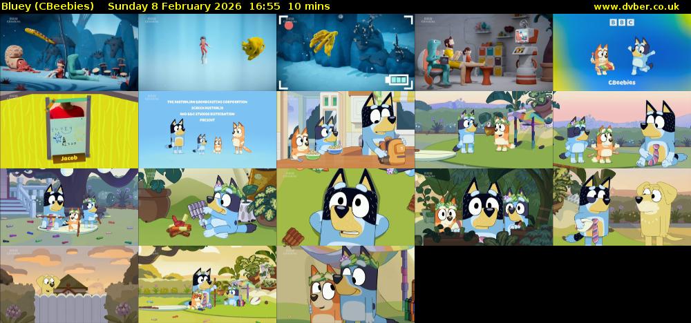 Bluey (CBeebies) Sunday 8 February 2026 16:55 - 17:05