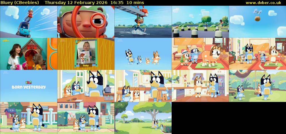 Bluey (CBeebies) Thursday 12 February 2026 16:35 - 16:45