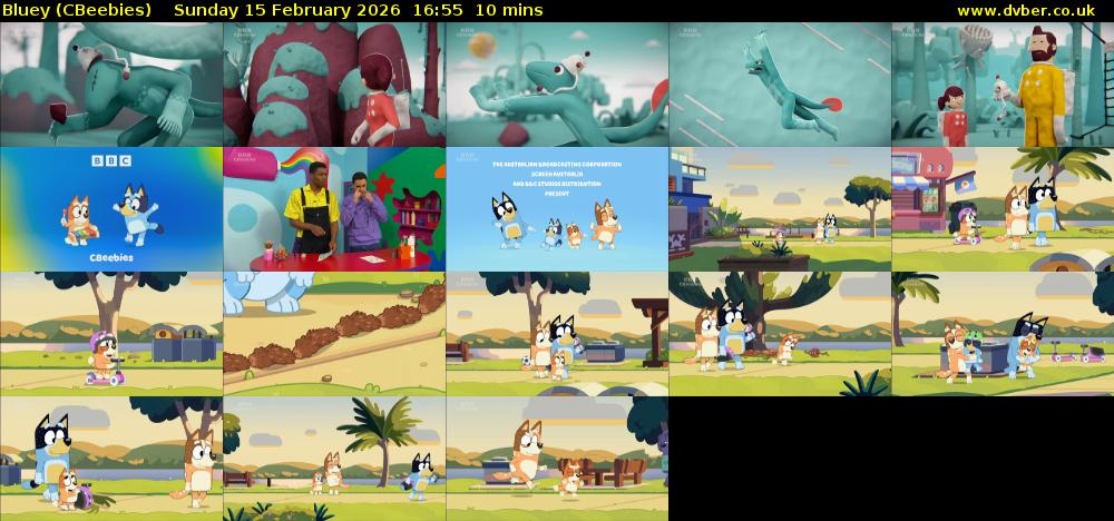 Bluey (CBeebies) Sunday 15 February 2026 16:55 - 17:05
