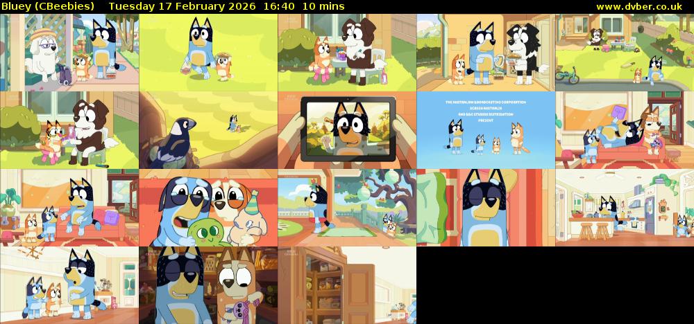 Bluey (CBeebies) Tuesday 17 February 2026 16:40 - 16:50