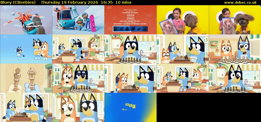 Bluey (CBeebies) Thursday 19 February 2026 16:35 - 16:45
