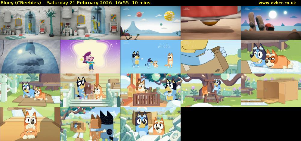 Bluey (CBeebies) Saturday 21 February 2026 16:55 - 17:05