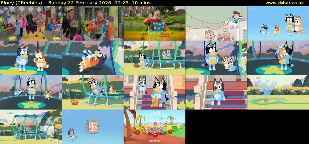 Bluey (CBeebies) Sunday 22 February 2026 09:25 - 09:35