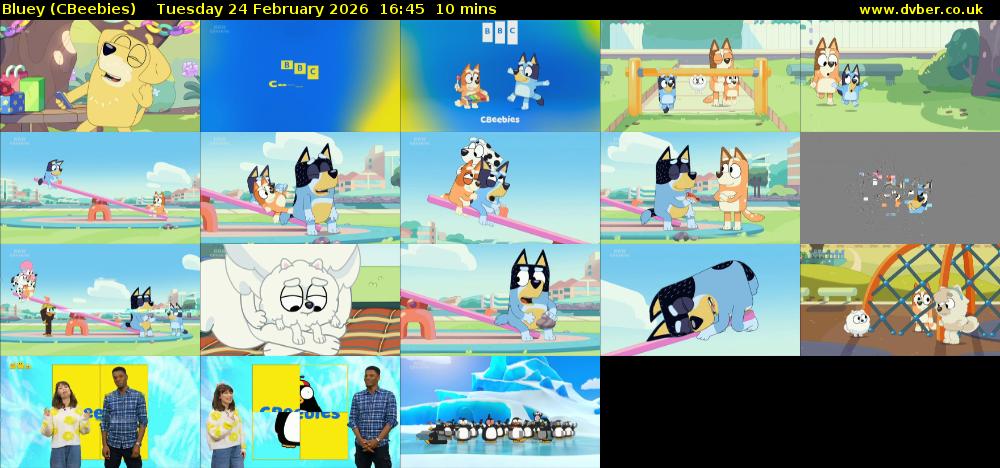 Bluey (CBeebies) Tuesday 24 February 2026 16:45 - 16:55