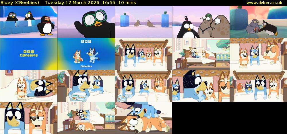 Bluey (CBeebies) Tuesday 17 March 2026 16:55 - 17:05