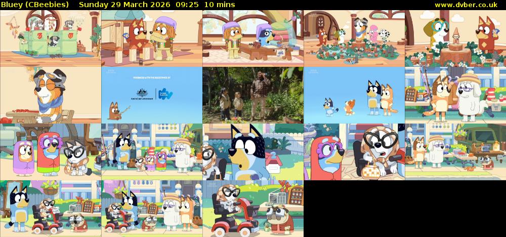 Bluey (CBeebies) Sunday 29 March 2026 09:25 - 09:35