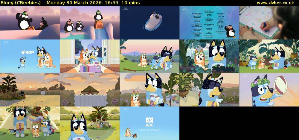 Bluey (CBeebies) Monday 30 March 2026 16:55 - 17:05