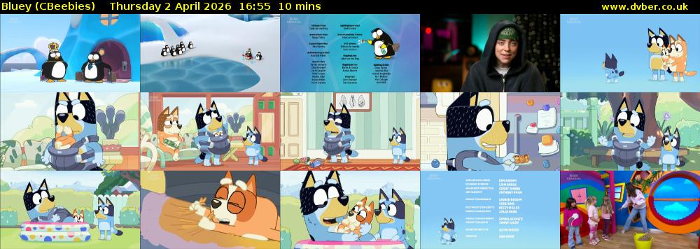 Bluey (CBeebies) Thursday 2 April 2026 16:55 - 17:05