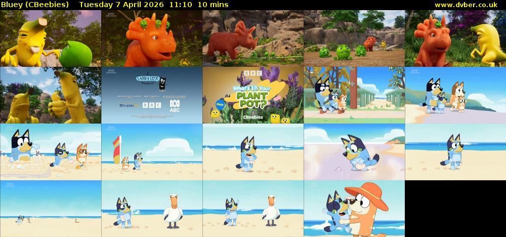 Bluey (CBeebies) Tuesday 7 April 2026 11:10 - 11:20