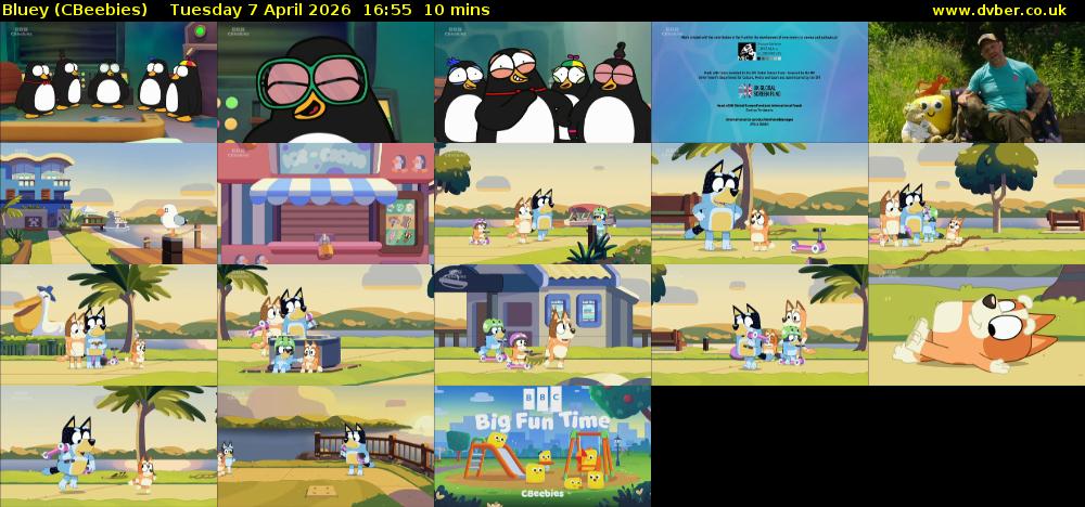 Bluey (CBeebies) Tuesday 7 April 2026 16:55 - 17:05
