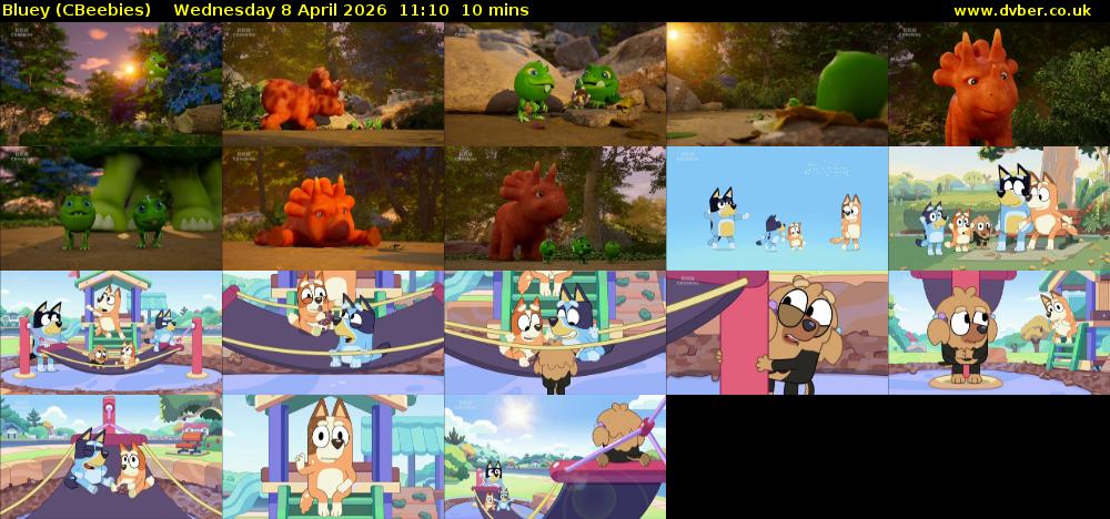 Bluey (CBeebies) Wednesday 8 April 2026 11:10 - 11:20