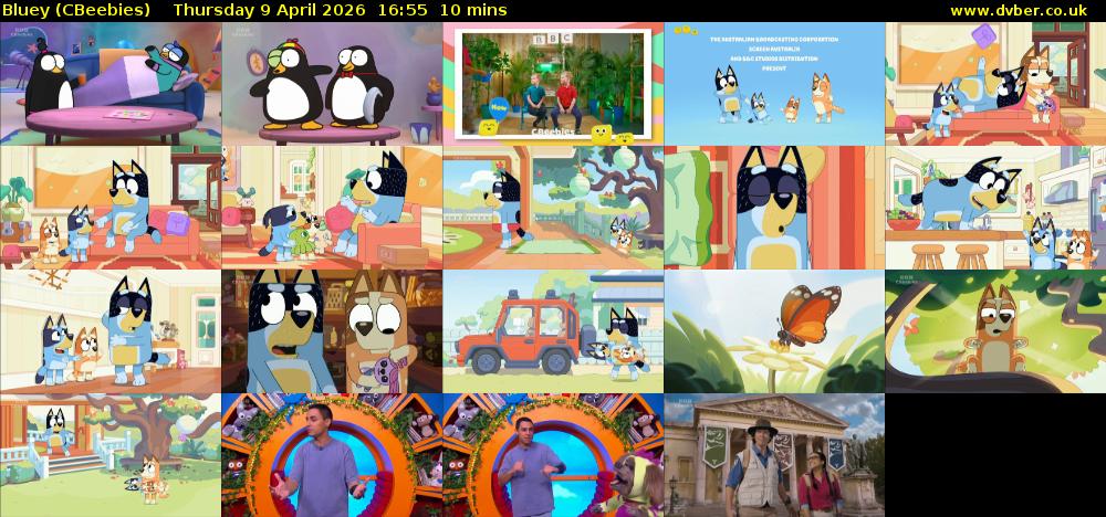 Bluey (CBeebies) Thursday 9 April 2026 16:55 - 17:05
